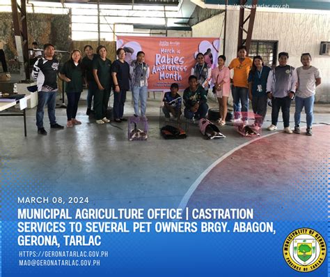 Municipal Agriculture Office Castration Services To Several Pet