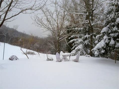 Cantautori Alle Prese Con La Neve Le Foto Di Carboni E Cremonini La