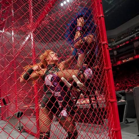 Wwe Hell In A Cell Hawtcelebs