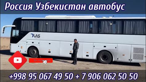 Ташкент Краснодар автобус Ташкент Москва Ташкент Красноярска Ташкент ...