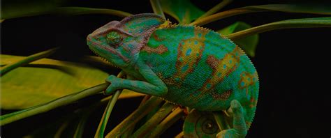 Meet The Team | Change Recruitment 