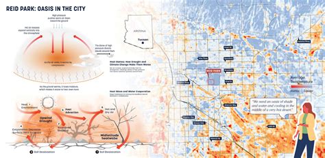 Reid Park Reimagined Addresses Extreme Heat And Resiliency In Tucson