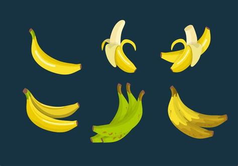 Koleksi Vektor Pisang Pisang Svg Ai Uidownload