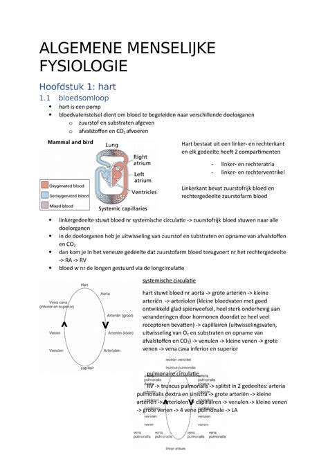 Algemene Menselijke Fysiologie Sv Algemene Menselijke Fysiologie