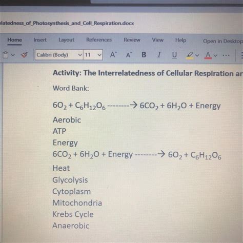 Cell Respiration And Photosynthesis Equation