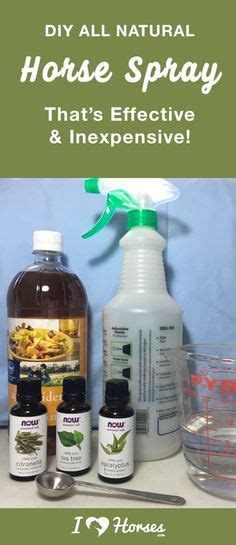 How To Make Homemade Fly Spray For Horses Thats All Natural Fly