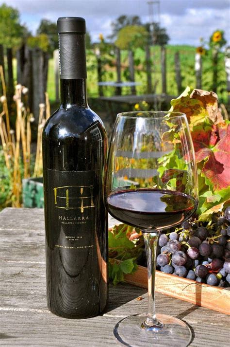 Скандинавија – нова татковина на производителите на винo? - Кепенци