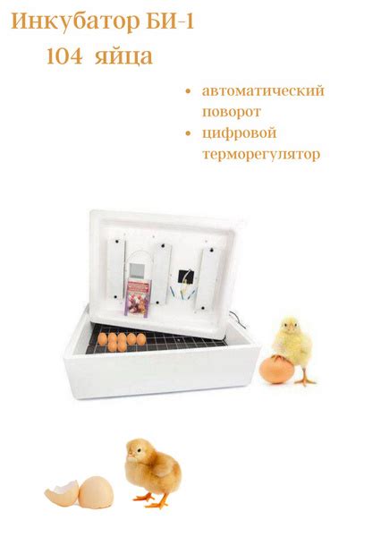 Инкубатор электрический Несушка БИ-1 с автоматическим поворотом и ...
