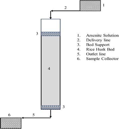 Experimental Setup Of Dynamic Study Download Scientific Diagram