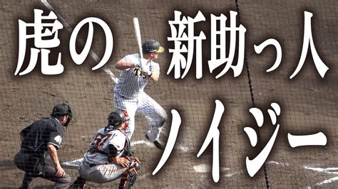 【阪神 虎の新助っ人が今季初のg倒に早くも貢献！】ノイジーが初マルチ安打＆好走塁でアピール 阪神・ノイジーは開幕3番・左翼！岡田監督が構想明かす 【オープン戦 巨人vs阪神】プロ野球ニュース