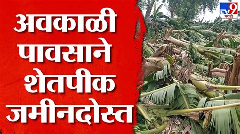 Jalgaon Unseasonal Rain Loss अवकाळी पावसाने शेतपीकांसह फळबागांचे मोठं नुकसान शेतकरी हवालदिल