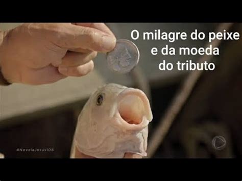 O Milagre Do Peixe E Da Moeda Do Tributo Mateus Um Novo