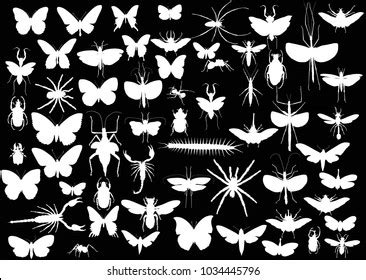 Illustration Insect Silhouettes Isolated On Black Stock Vector Royalty