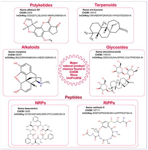 Metabolites Free Full Text Diverse Taxonomies For Diverse Chemistries Enhanced