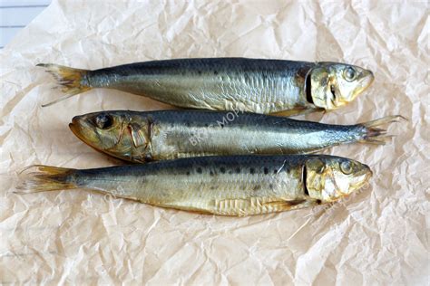 Торговый дом «ВКУС МОРЯ» - Рыба холодного копчения: Сардина ...