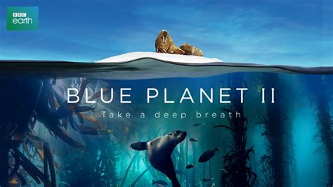 Watch Blue Planet II Documentary FLUSHGATE