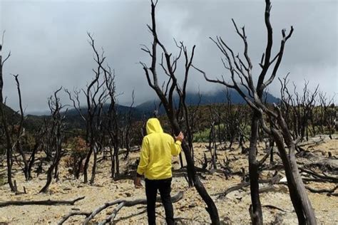 Yuk Simak 3 Pesona Wisata Gunung Papandayan Garut Jawa Barat Yang