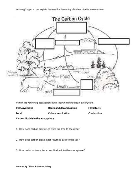 Carbon Cycle Diagram Worksheet Carbon Cycle Nutrient Cycle Worksheets