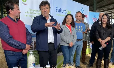 Leche A Ministerio De Agricultura Destaca Esfuerzos Innovadores De