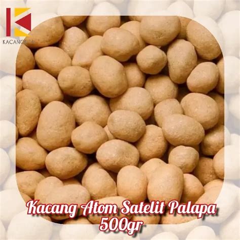 Kacang Atom Satelit Palapa Gr Lazada Indonesia