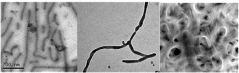 Self Assembly Of Janus Cylinders Into Hierarchical Superstructures