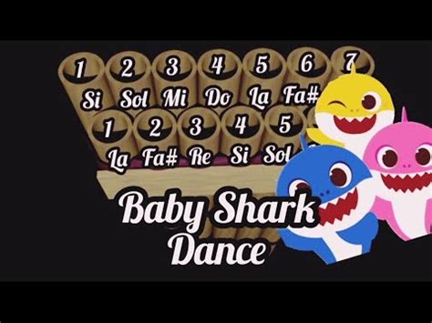 Tutorial Y Notas De Zampo A De Baby Shark Youtube