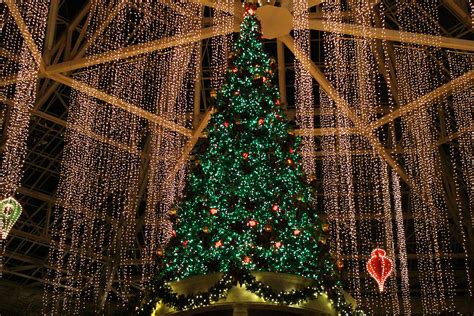 Christmas at Gaylord Palms is Pure Magic - Sparkly Ever After