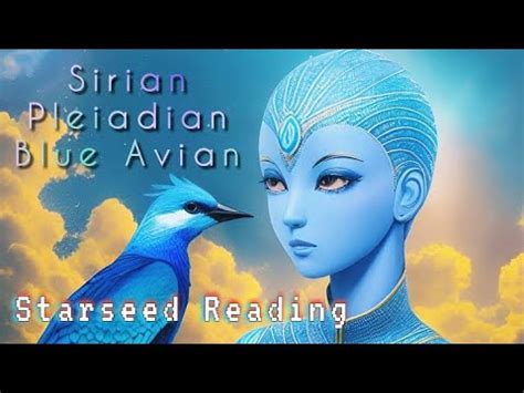 Messages From The Galactic Order Sirius Pleiadian Blue Avian