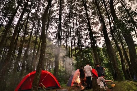 Dijuluki Kota Hujan Inilah Tempat Wisata Di Bogor Yang Bisa Kamu