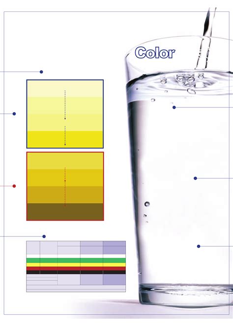 Dehydration Urine Color Chart Free Download