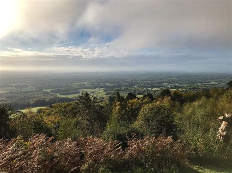 Top 4 Best Surrey Hills Walks Walk Wild