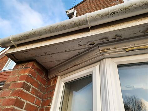 Replacing fascia boards : r/DIYUK