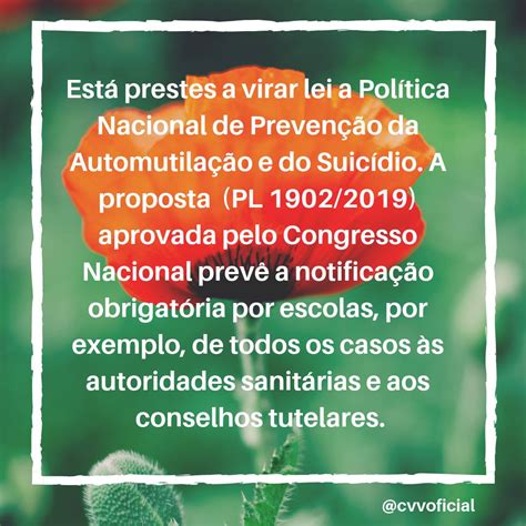 Cvv On Twitter O Senado Aprovou Na Quarta Feira A Proposta Pl