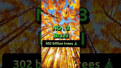 Top Countries With The Most Trees Shorts Youtubeshorts Top