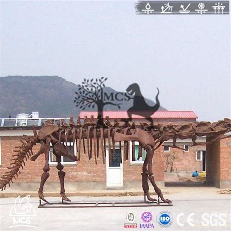 Mamenchisaurus Skeleton Fossil Replica Bone Skeleton-SKR018