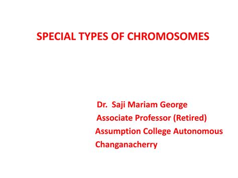 Special Types Of Chromosomes Smg Ppt