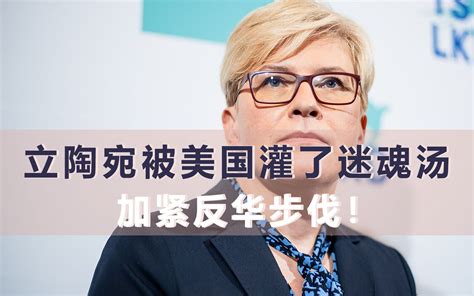 又来作妖！立陶宛被美国灌迷魂汤，加紧反华步伐！哔哩哔哩bilibili