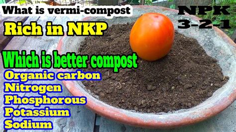 What Is Vermicompost And Its Uses Which Is Better Compost Or