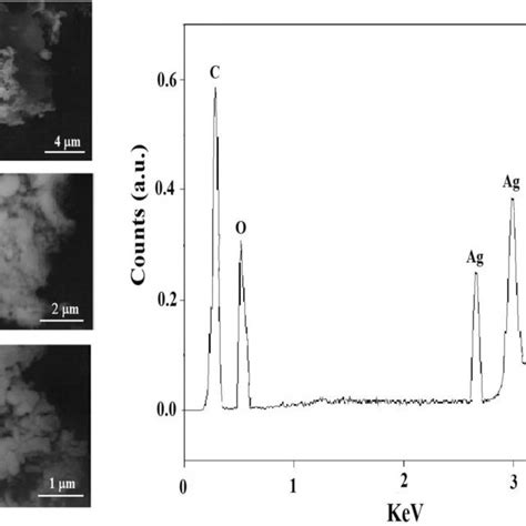 Sem Images For A Cs Go B C Agnps Go Cs With Two Magnifications D Edx