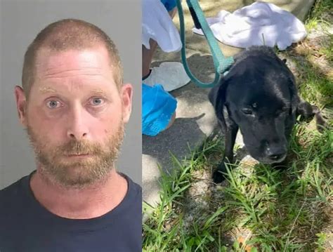 Deplorable Florida Man Arrested After Police Find Three Dead Dogs