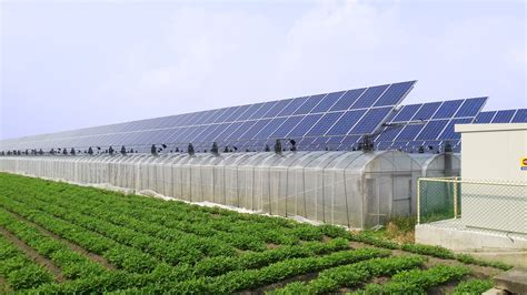 光電農業生技逆境找出路 太陽能香菇農棚共生多贏 開陽國際生技 開陽集團 太陽能電廠投資 大紀元