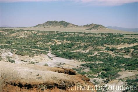 This is Olduvai Gorge, the archaeological site also known as "The Cradle of Mankind”, is a steep ...