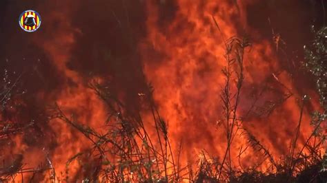 Incendios Forestales Arrasan Más De 34000 Hectáreas En 2024 Un 526