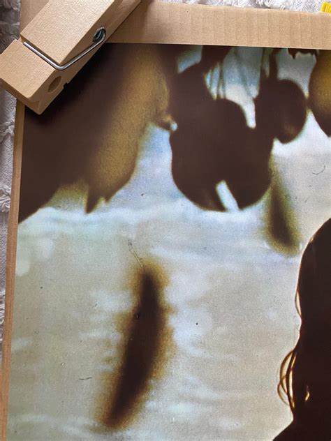 River Girl Naked Women S Original Vintage Poster Etsy Australia