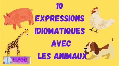 Expressions Idiomatiques Avec Des Animaux Signification Et