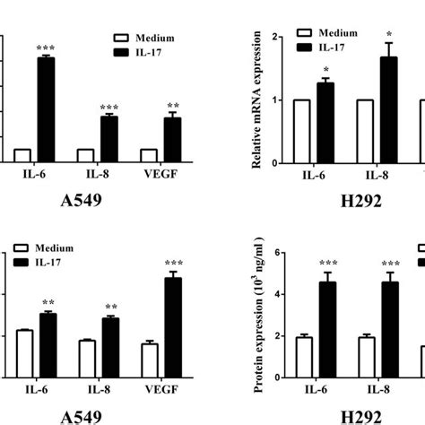 Expression Of Cd31 Il 17 Il 6 Il 8 And Vegf Protein In Human Lung Download Scientific