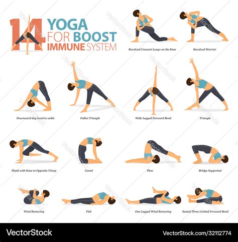 Yoga Poses For Workout In Boost Immune System Vector Image