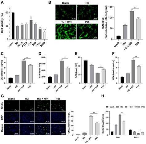 Propofol Postconditioning Alleviates Diabetic Myocardial Ischemia