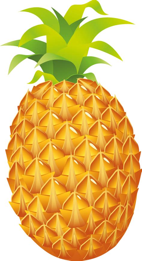 Pineapple Clipart Images