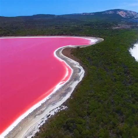 Beautiful pink lake mexico las coloradas travel guide – Artofit